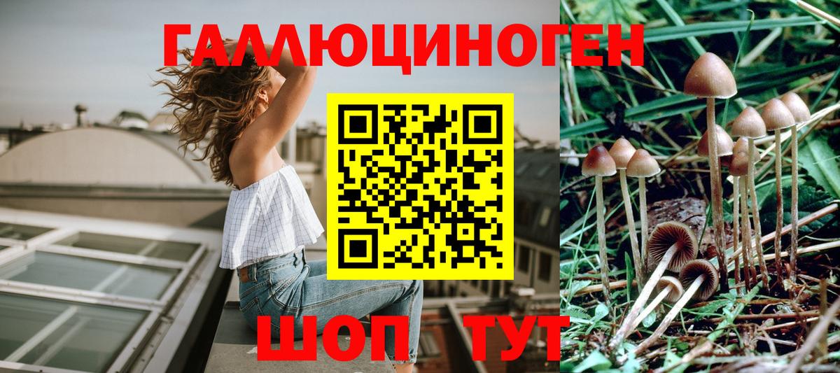магазин продажи   Вход с VPN  Менделеевск  Псилоцибиновые грибы MAGIC MUSHROOMS 